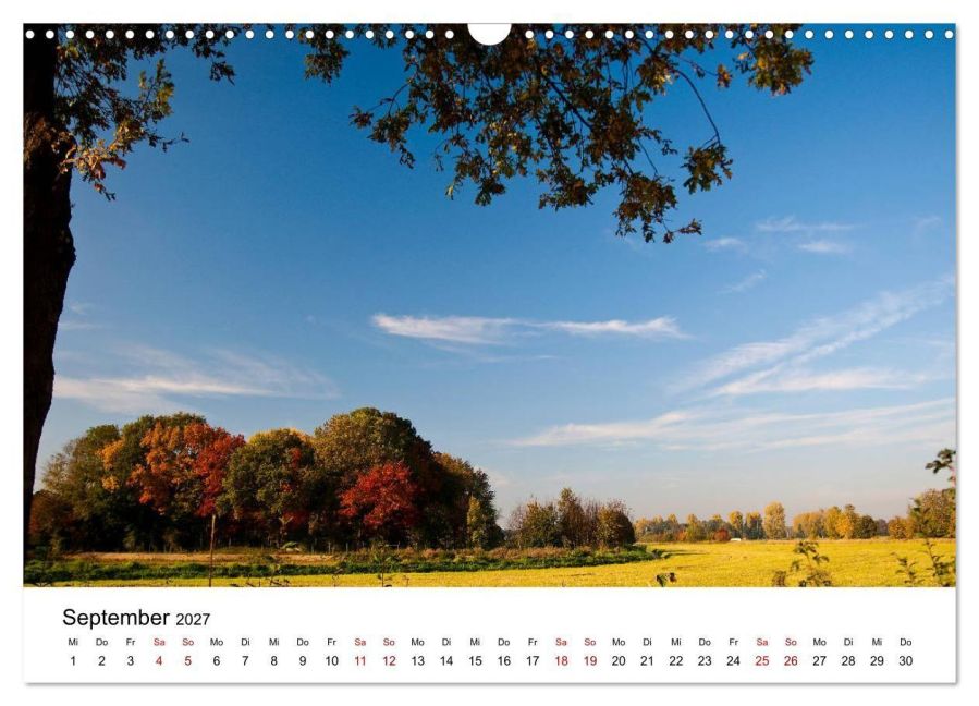 InsideView 14