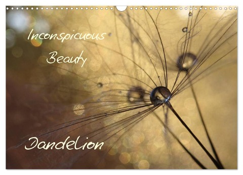 Inconspicuous Beauty - Dandelion (Wall Calendar 2024 DIN A3 landscape), CALVENDO 12 Month Wall Calendar - Judith Doberstein