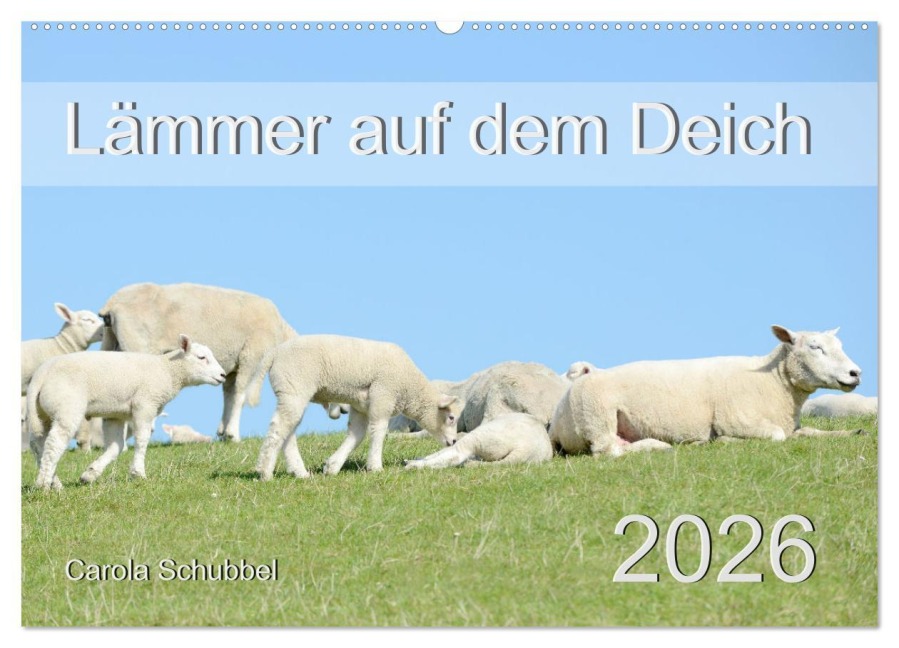 Lämmer auf dem Deich (Wandkalender 2026 DIN A2 quer), CALVENDO Monatskalender - Carola Schubbel