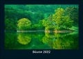 Bäume 2022 Fotokalender DIN A5 - Tobias Becker