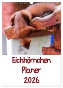 Cover-Bild zum Titel 'Eichhörnchen Planer 2026 (Wandkalender 2026 DIN A3 hoch), CALVENDO Monatskalender' von 'Carsten Jäger'