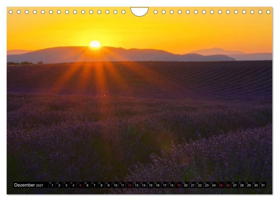 InsideView 4