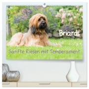 Briards - sanfte Riesen mit Temperament (hochwertiger Premium Wandkalender 2026 DIN A2 quer), Kunstdruck in Hochglanz - Sonja Teßen