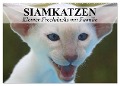 Siamkatzen - Kleiner Frechdachs mit Familie (Wandkalender 2025 DIN A2 quer), CALVENDO Monatskalender - Elisabeth Stanzer