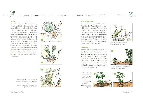 InsideView 2