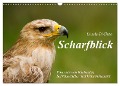 Scharfblick (Wandkalender 2025 DIN A3 quer), CALVENDO Monatskalender - Ursula Di Chito