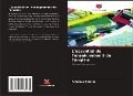 Cover-Bild zum Titel 'L'essentiel de l'enseignement de l'anglais' von 'Fehaima Amaria'