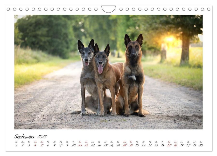 InsideView 14