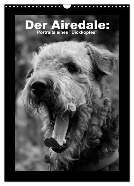 Der Airedale: Portraits eines "Dickkopfes" (Wandkalender 2026 DIN A3 hoch), CALVENDO Monatskalender - Gaby Rottmann