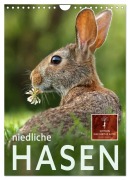 Niedliche Hasen (Wandkalender 2026 DIN A4 hoch), CALVENDO Monatskalender - Peter Roder