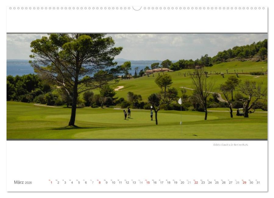 InsideView 7