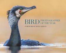 Cover-Bild zum Titel 'Bird Photographer of the Year' von ''