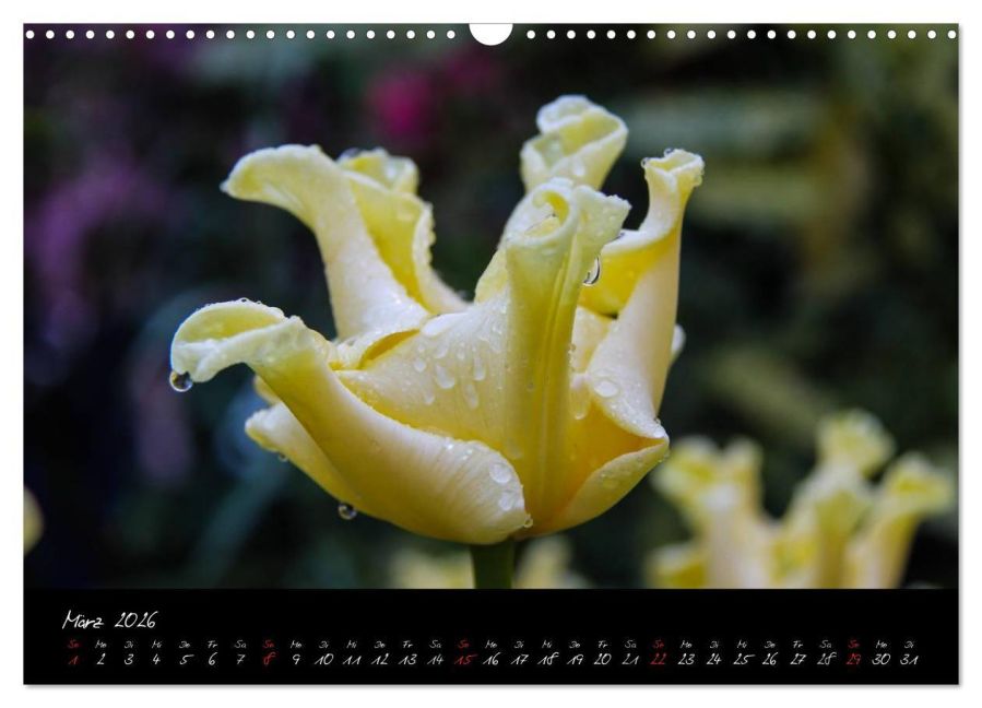 InsideView 8