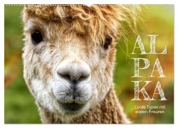 Cover-Bild zum Titel 'Alpaka, coole Typen mit wilden Frisuren (Wandkalender 2026 DIN A2 quer), CALVENDO Monatskalender' von 'Sabine Löwer'