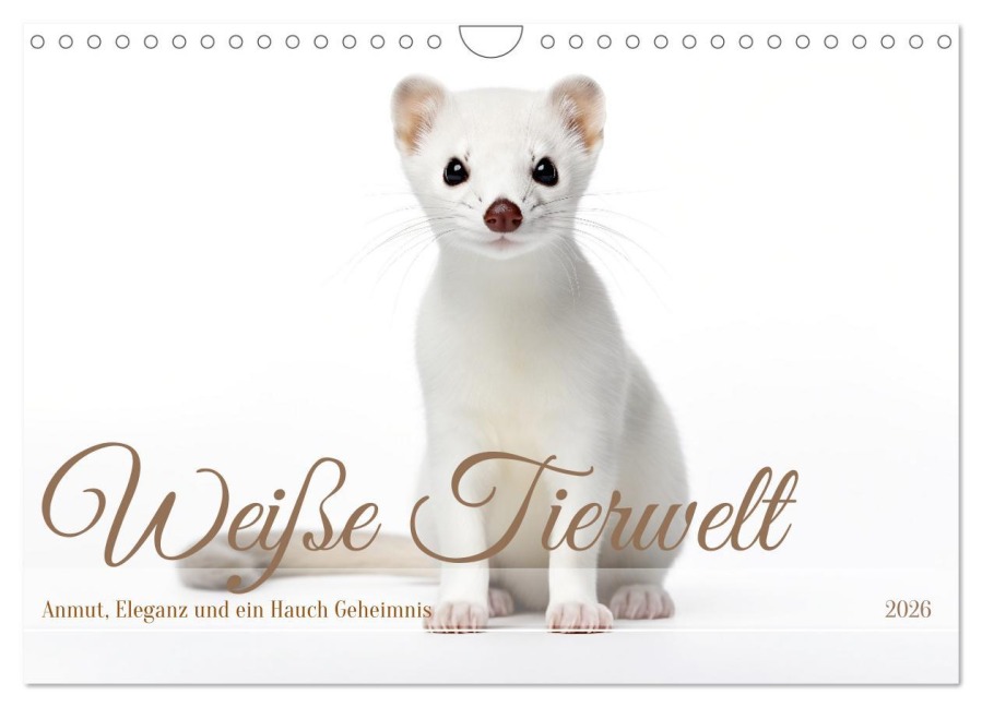 Weiße Tierwelt (Wandkalender 2026 DIN A4 quer), CALVENDO Monatskalender - Daniela Tapper