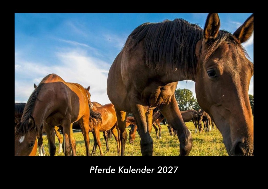 Pferde Kalender 2027 Fotokalender DIN A3 - Tobias Becker
