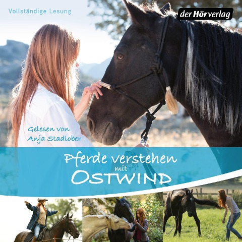 Pferde verstehen mit Ostwind - Almut Schmidt