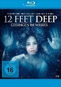 12 Feet Deep - Gefangen im Wasser - Michael Hultquist, Matt Eskandari, Todd Haberman