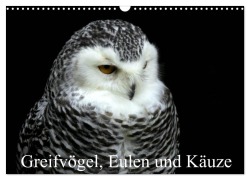 Cover-Bild zum Titel 'Greifvögel, Eulen und Käuze (Wandkalender 2026 DIN A3 quer), CALVENDO Monatskalender' von 'Arno Klatt'