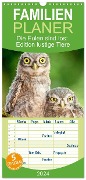 Familienplaner 2024 - Die Eulen sind los: Edition lustige Tiere mit 5 Spalten (Wandkalender, 21 x 45 cm) CALVENDO - Calvendo Calvendo