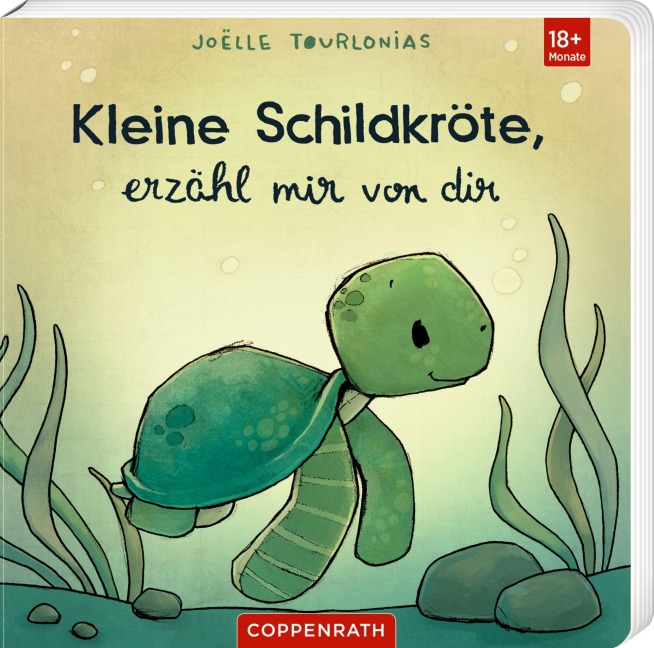 Kleine Schildkröte, erzähl mir von dir - Joëlle Tourlonias
