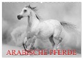 Arabische Pferde (Wandkalender 2024 DIN A2 quer), CALVENDO Monatskalender - Elisabeth Stanzer