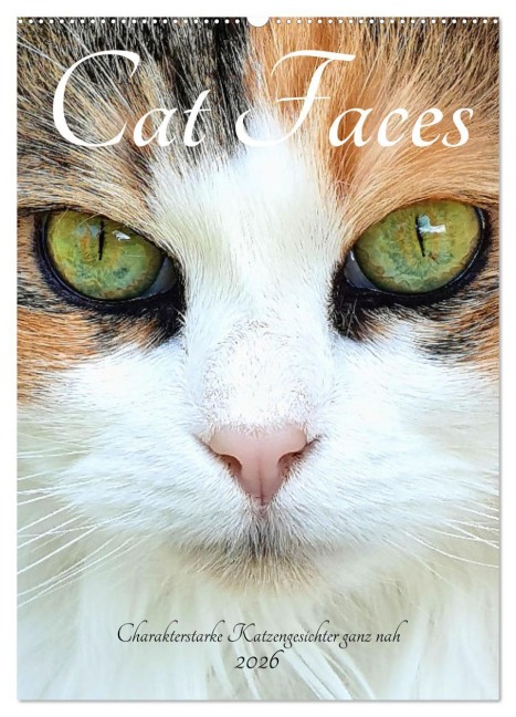 Cat Faces - Charakterstarke Katzengesichter ganz nah (Wandkalender 2026 DIN A2 hoch), CALVENDO Monatskalender - Michaela Schimmack