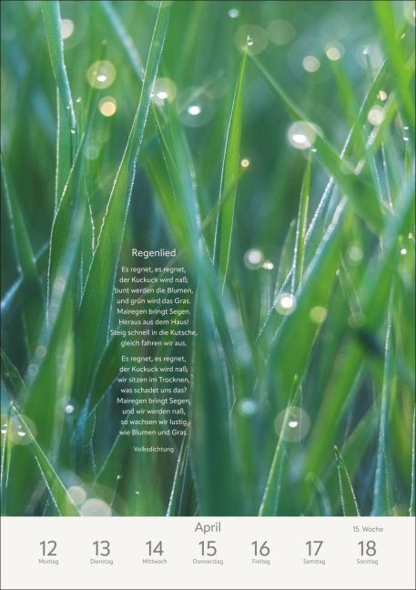 InsideView 11