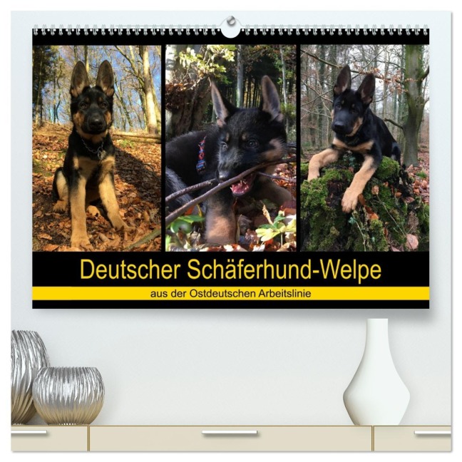 Deutscher Schäferhund-Welpe - aus der Ostdeutschen Arbeitslinie (hochwertiger Premium Wandkalender 2026 DIN A2 quer), Kunstdruck in Hochglanz - Tanja Riedel