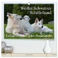 Weißer Schweizer Schäferhund - Ein Tag im Leben einer Hundefamilie (hochwertiger Premium Wandkalender 2025 DIN A2 quer), Kunstdruck in Hochglanz - Sigrid Starick