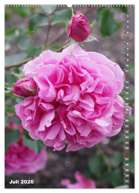 InsideView 11