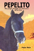 Cover-Bild zum Titel 'P E P E L I T O' von 'Peter Mois'