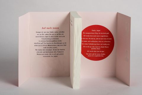 InsideView 5