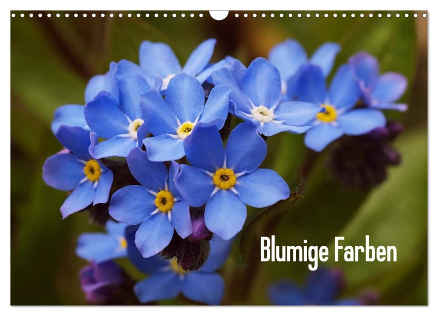 Blumige Farben (Wandkalender 2026 DIN A3 quer), CALVENDO Monatskalender - Kristin Möller