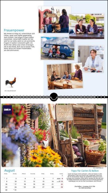 InsideView 8