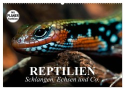 Reptilien. Schlangen, Echsen und Co. (Wandkalender 2025 DIN A2 quer), CALVENDO Monatskalender - Elisabeth Stanzer