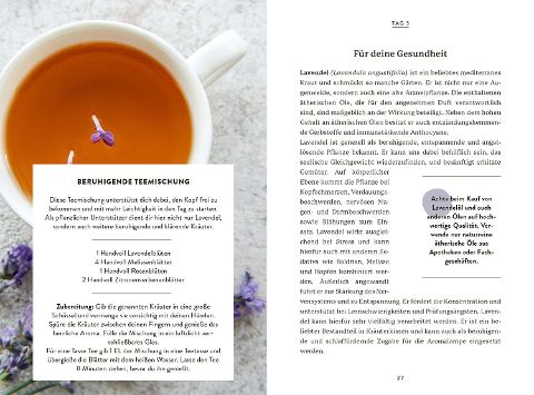 InsideView 3