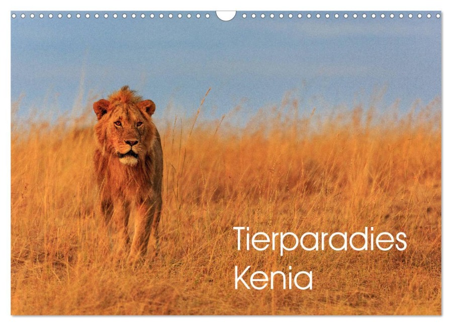 Tierparadies Kenia (Wandkalender 2026 DIN A3 quer), CALVENDO Monatskalender - David Oberholzer