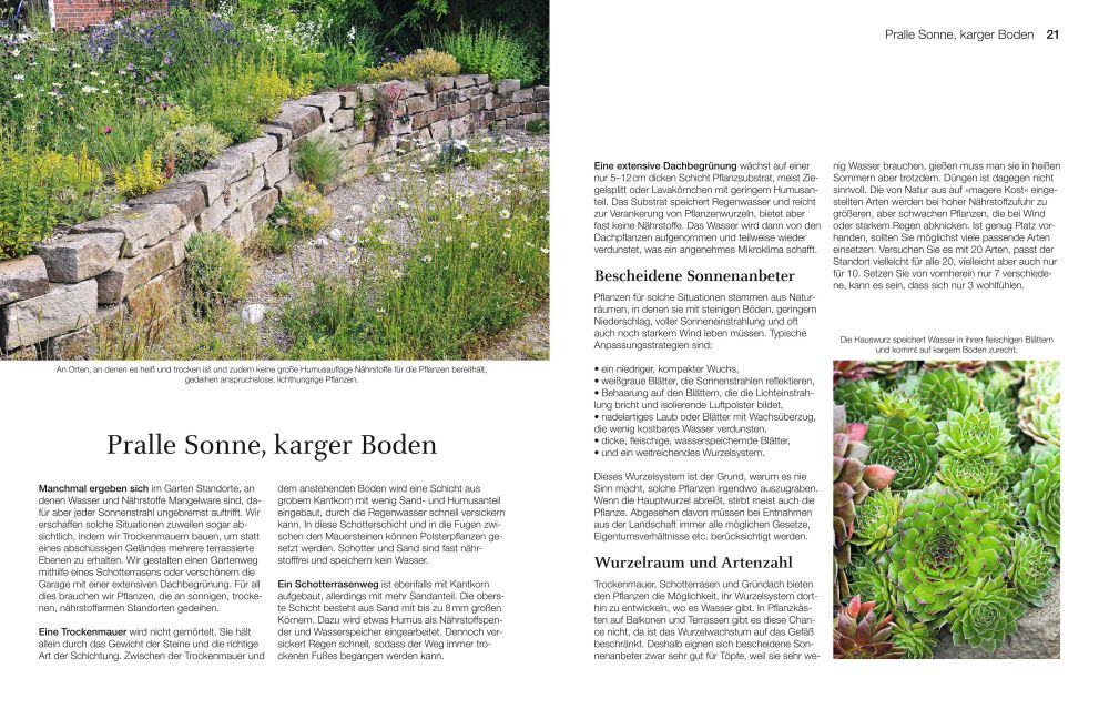 InsideView 3