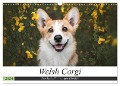 Welsh Corgi - Der Kobold unter den Hunden (Wandkalender 2024 DIN A3 quer), CALVENDO Monatskalender - Maria Ahrens