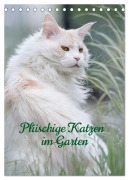 Plüschige Katzen im Garten (Tischkalender 2026 DIN A5 hoch), CALVENDO Monatskalender - Wiebke von der Heyde
