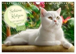 Cover-Bild zum Titel 'Schöne Katzen. Beliebte Samtpfoten im Garten (Wandkalender 2026 DIN A4 quer), CALVENDO Monatskalender' von 'Rose Hurley'