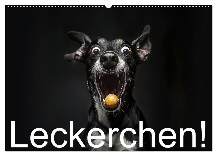 Leckerchen! (Wandkalender 2026 DIN A2 quer), CALVENDO Monatskalender - Jürgen Moers