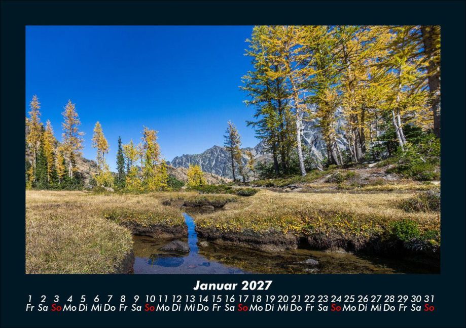 InsideView 5