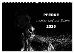 Cover-Bild zum Titel 'Pferde zwischen Licht und Schatten (Wandkalender 2026 DIN A3 quer), CALVENDO Monatskalender' von 'Sabine Peters Artwork & Photographie'