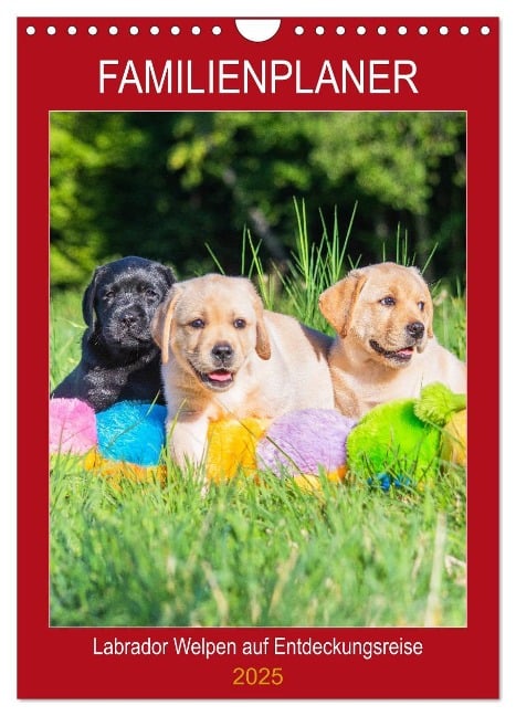 Familienplaner - Labrador Welpen entdecken die Welt (Wandkalender 2025 DIN A4 hoch), CALVENDO Monatskalender - Sigrid Starick