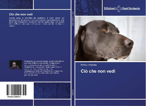 Ciò che non vedi - Enrico Improta