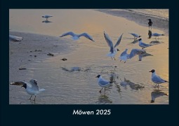 Cover-Bild zum Titel 'Möwen 2025 Fotokalender DIN A4' von 'Tobias Becker'