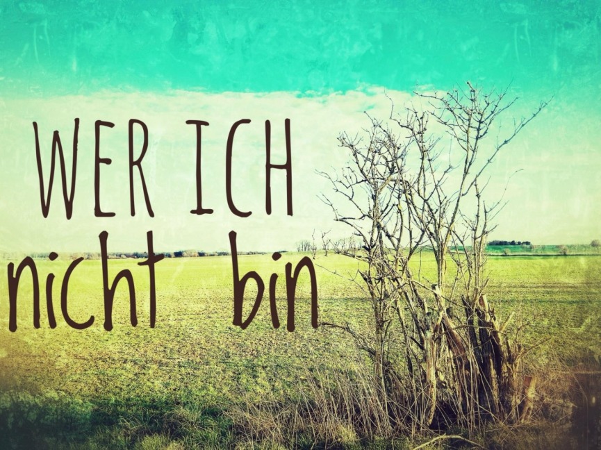 Wer ich nicht bin - Thomas Föller