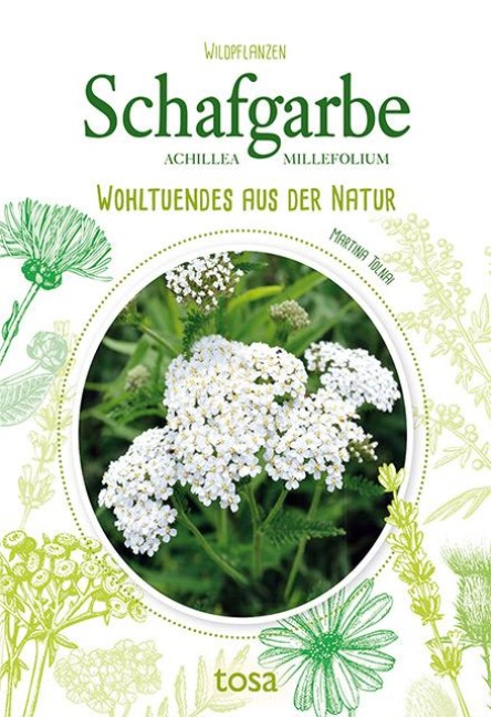 Schafgarbe - Martina Tolnai
